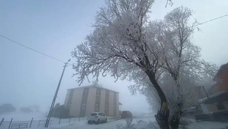 Eksi 18 Derecede Gölde Neler Oluyor? Kışın Zorlu Yüzü