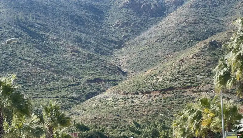 Marmaris Ormanları Yangından Sonra Yeniden Yeşeriyor
