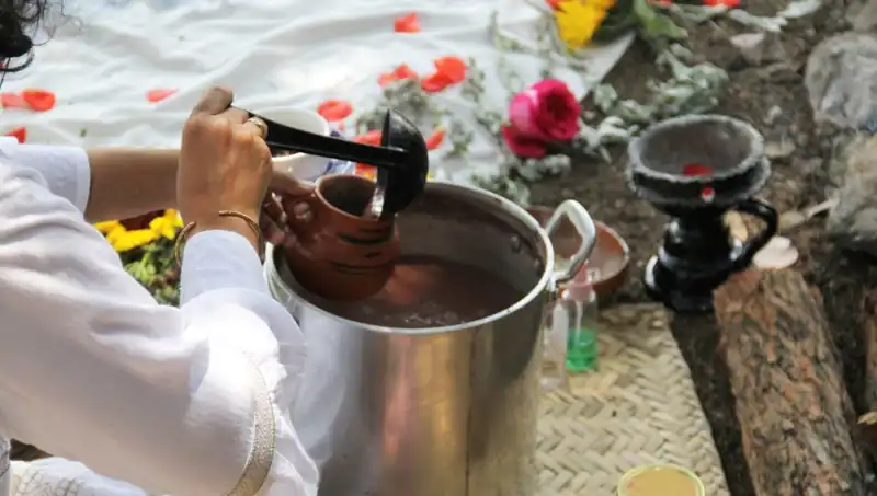 Ayahuasca Nedir? Faydaları ve Yasal Durumu Nasıldır?