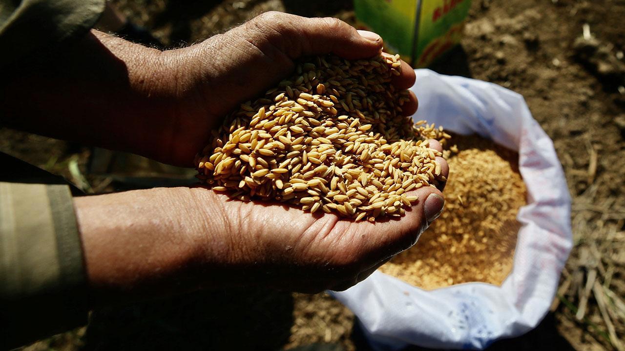Ata Tohumları Tarım Kredi Marketlerinde Satışa Sunulacak