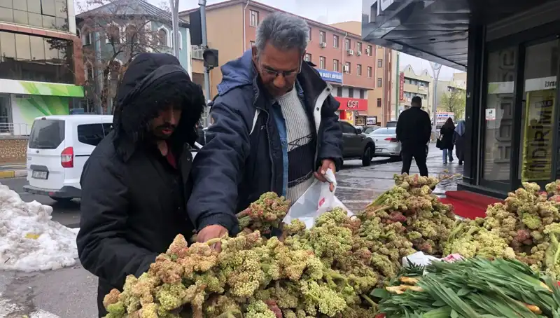 Kendiliğinden Yetişen Vitamin Deposunun Kanserdeki Etkisi Sarsıyor!