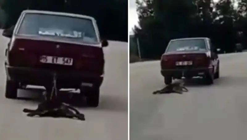 Otomobilin Arkasına Bağlanan Köpek: İçler Acısı Gökyüzü Altındaki Dram