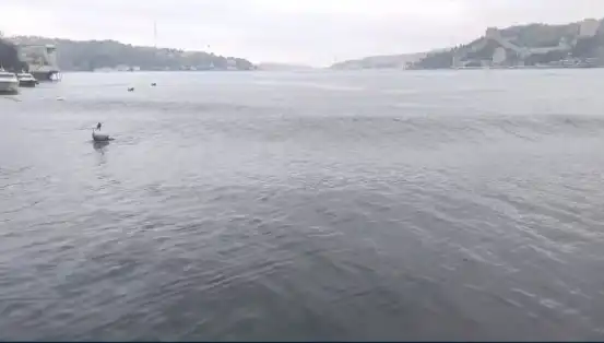 İstanbul’u Sallayan 6,2 Büyüklüğündeki Depremden Sonra Denizde Dalgalar Yükseldi!