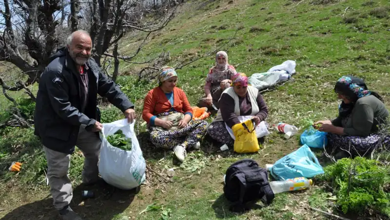 Yürüyerek Topladıkları Bu Kadın Girişimciler, Ailelerinin Geçim Kaynağını Yaratıyor