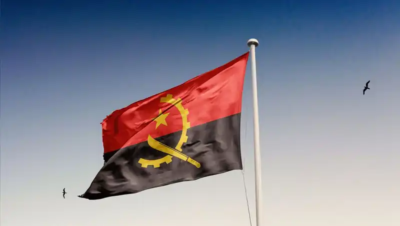 Siyasetçilere Angola'da Neden Geçit Yok? 20 Gözaltı Olayı