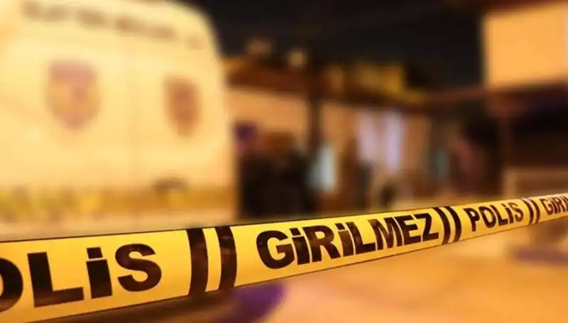 Diyarbakır'da Kayınpeder Dehşeti: Aile İçi Şiddet Bircan Yıktı