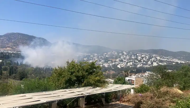 Muğla Orman Yangınlarında Son Durum: Kontrol Altına Alındı