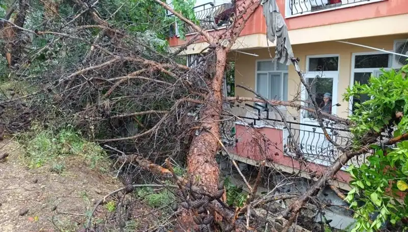 Doğanın Gücü: Yağmur Sonrası Bina Çöktü!