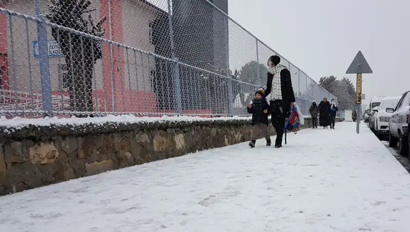 İlkbahar Geldi, Kış Nasıl Bir Baş Belası Oldu?