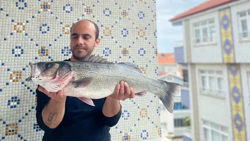 Yıllardır Beklenen An: 7,5 Kiloluk Dev Levrek Avcıları Şaşırttı!