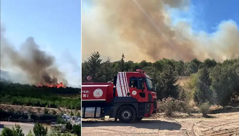 Gebze'de Orman Yangını: Doğa Yine Kül Olma Tehlikesiyle Karşı Karşıya