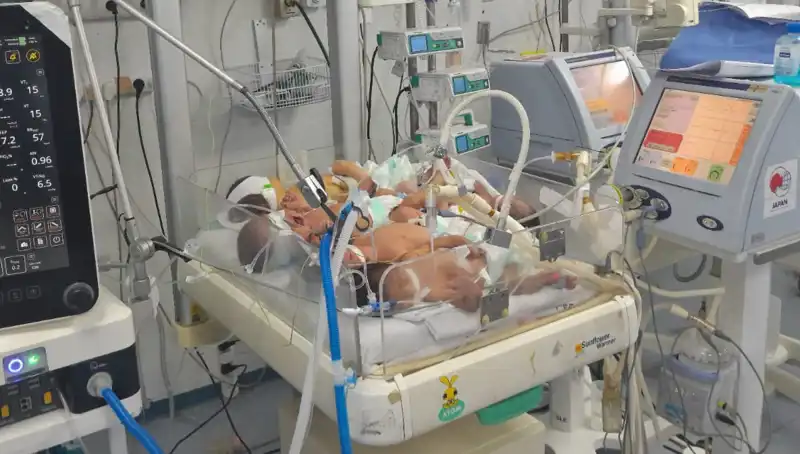 Gazzeli Doktorlar Çaresizlik İçinde: Neonatolojide Kriz Büyüyor