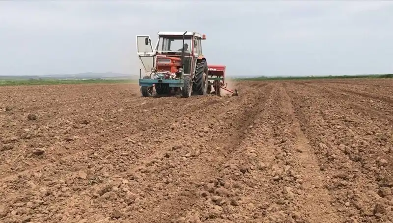 Son 35 Yılda Görülen En Kurak Mart Ayı: Yağış Miktarı Yüzde 59 Düşüş Gördü