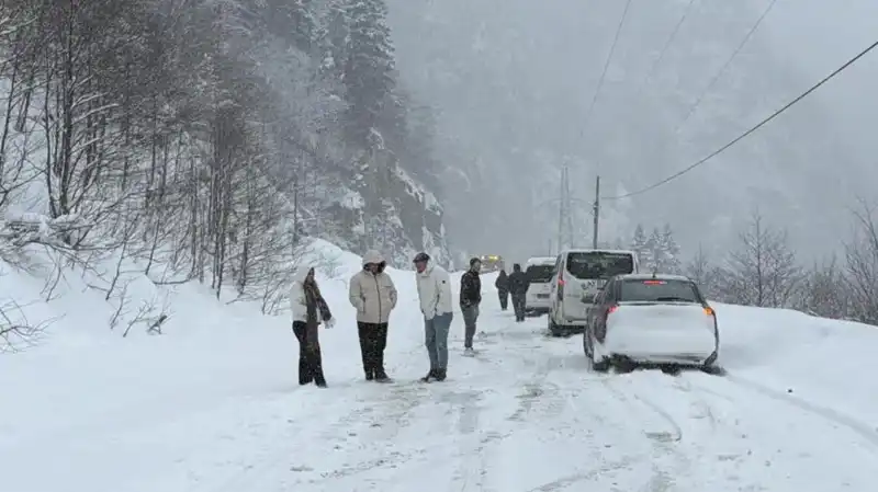 Trabzon'da Çığ Felaketi: Karayolu Ulaşımı Engellendi, Kurtarma Çalışmaları Başladı