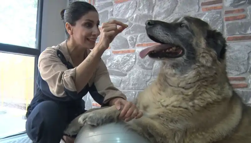 Obeziteyle Mücadelede Yeni Bir Umut: Duman’ın Spor ve Pilates Süreci
