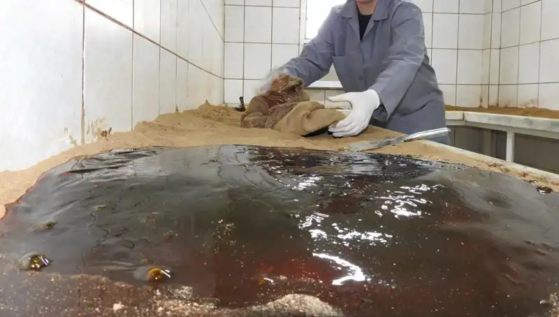 485 Yıldır Süregelen Gelenek: 25 Nisan’da Dualar Etkileyici Bir Baharat Karışımı İçin Yükseliyor