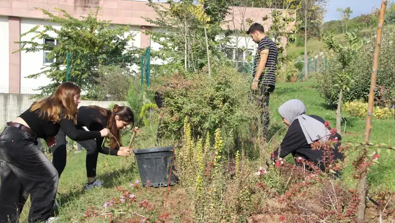 Düzce'nin Yıldızı: Hayalleri Gerçeğe Dönüştüren Olağanüstü Bir Hikaye