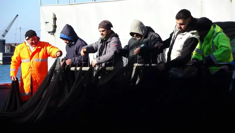 Denizlerde Hamsi Avı Sonlandırıldı: Balıkçılar Ne Yapacak?