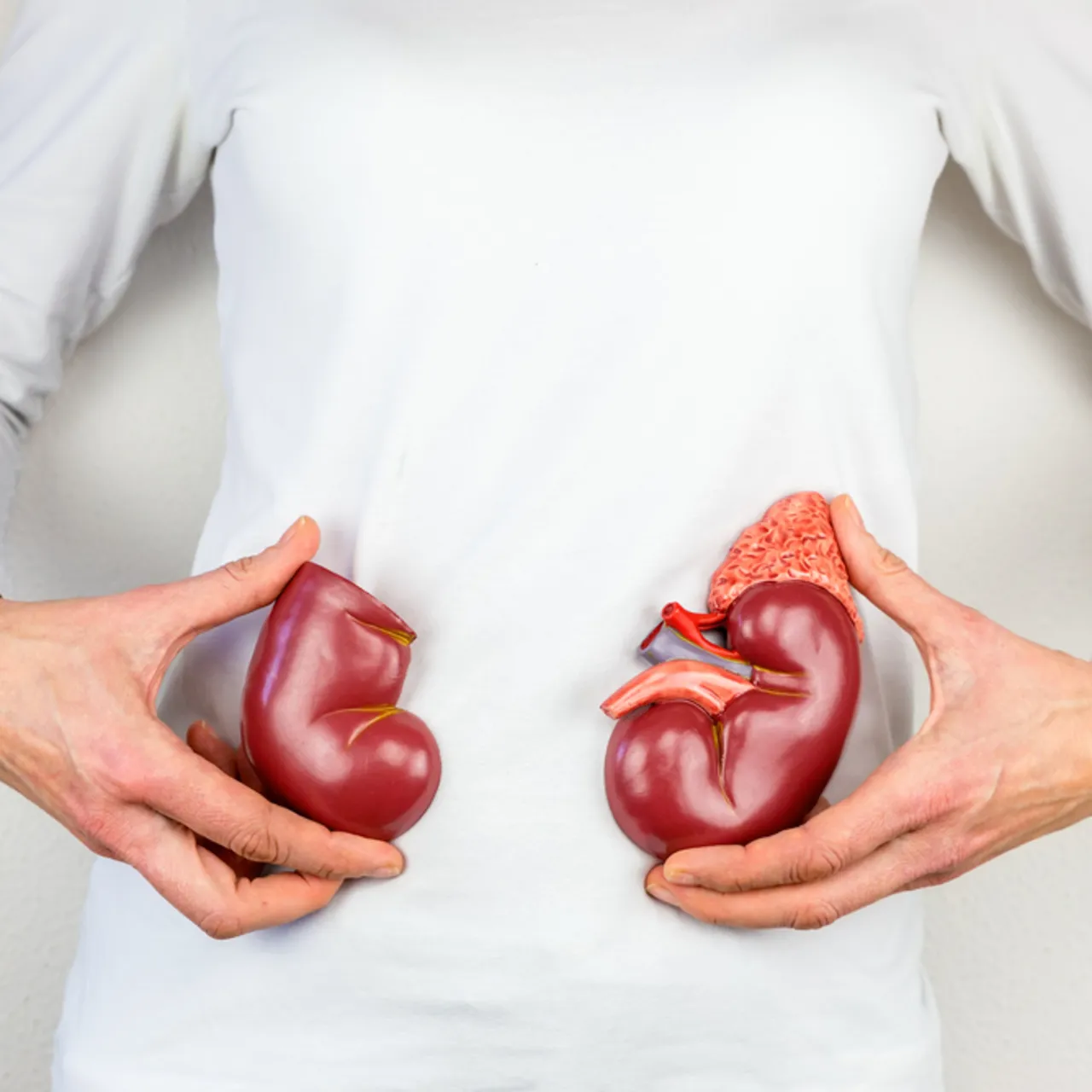 Hormonel Sorunların Gizli Nedeni: Böbrek Sağlığınızı İhmal Etmeyin!