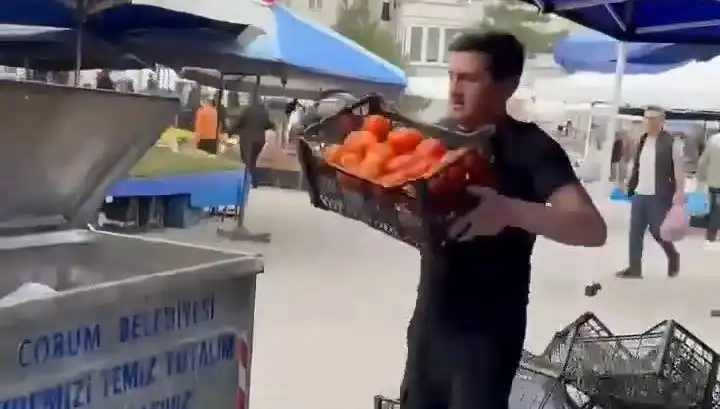 Domatesleri Çöpe Atan Pazarcıya Verilen Dev Cezanın Ardındaki İç Yüz