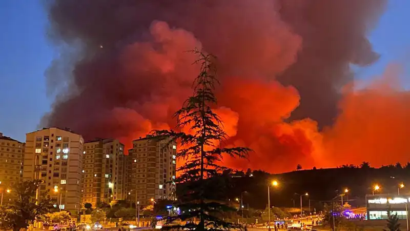 Bursa’da Korkutan Yangınlar: Şehirde Yaşanan Panik ve Mücadele