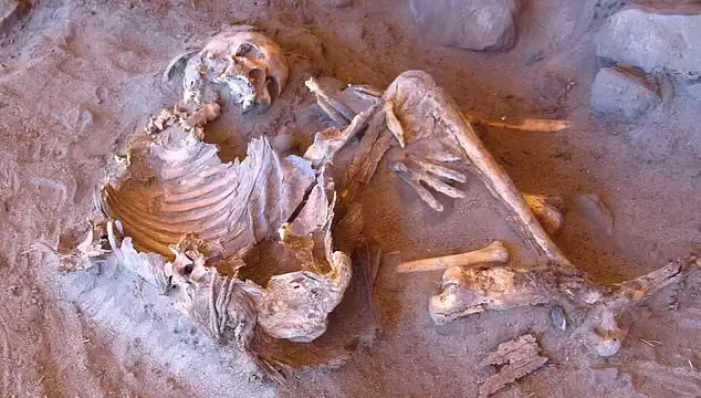 Yeni Mumya Keşfi: İnsanlığın Soy Ağacını Yeniden Yazıyor